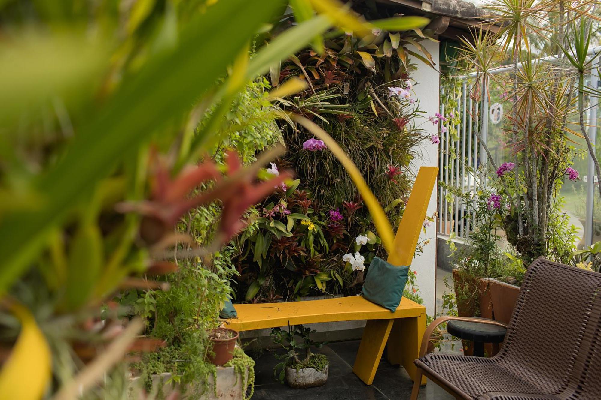 Casa de hóspedes Orquídea Café 3*