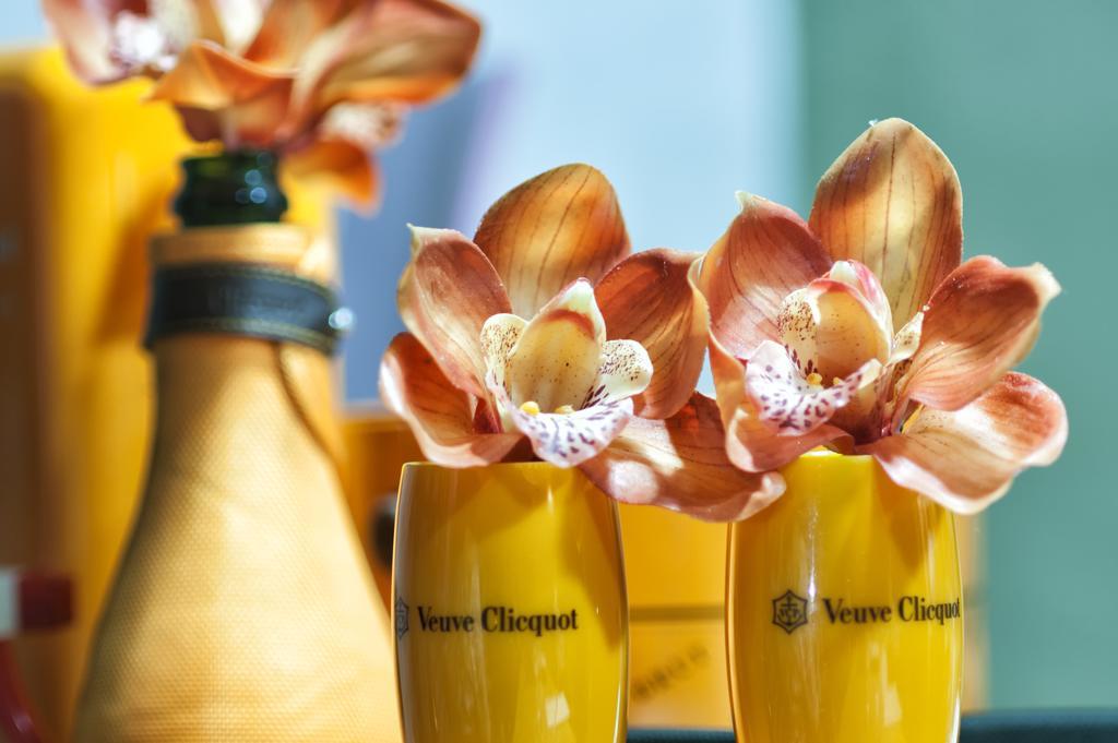 Orquídea Café